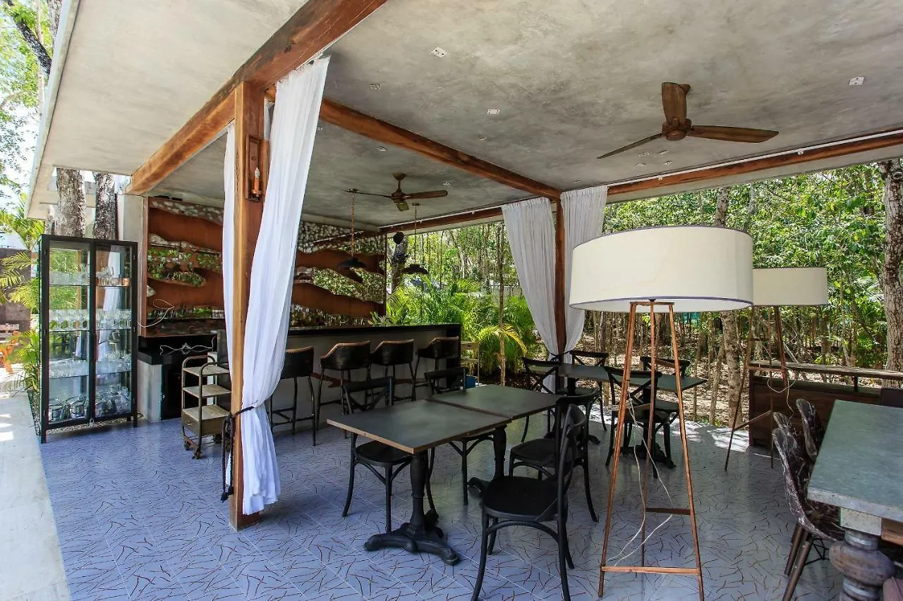 Private Plunge Pool, Art, Spa, Pool With Cabanas 툴룸