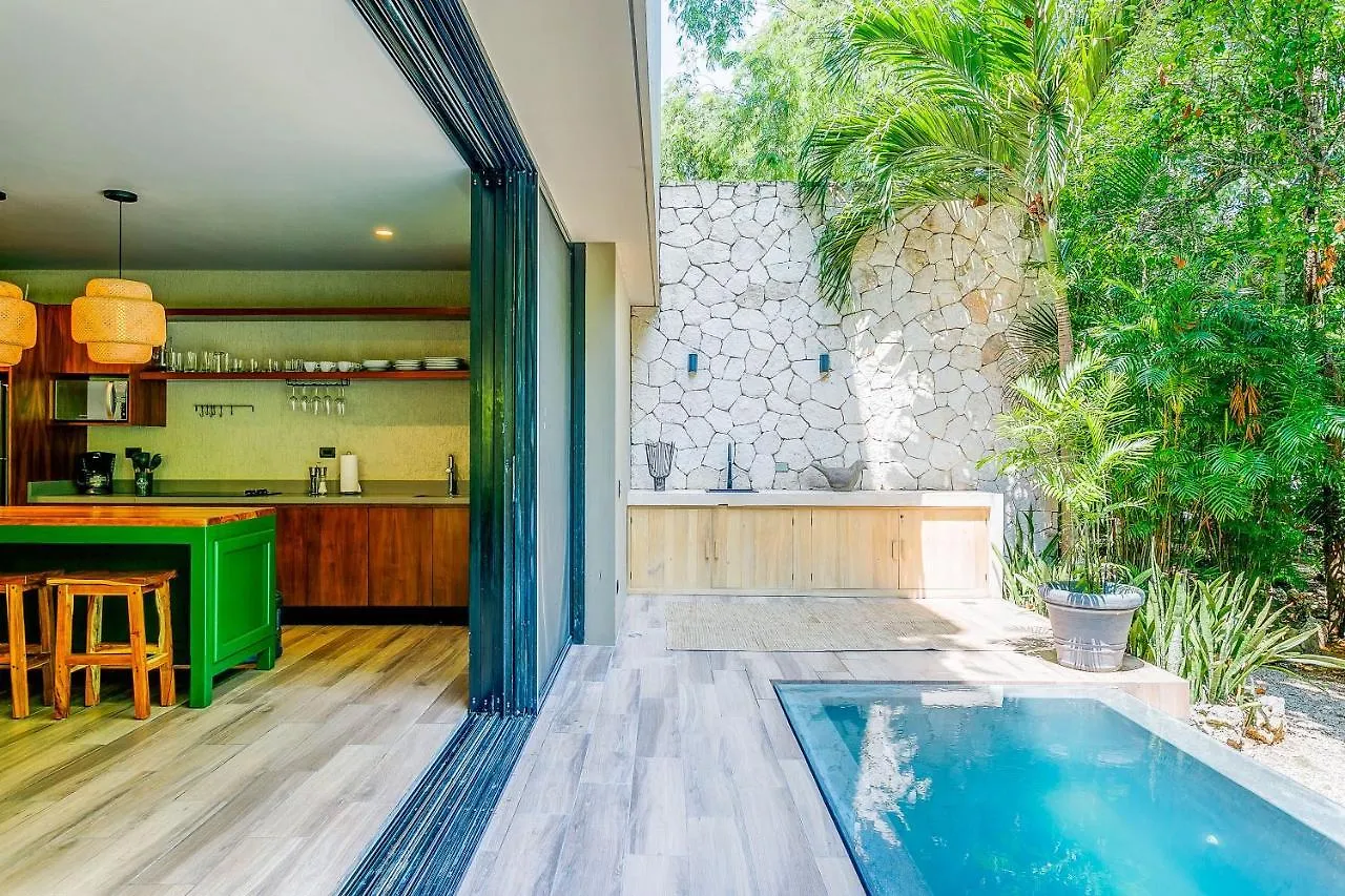 Private Plunge Pool, Art, Spa, Pool With Cabanas Tulum 0*,  Mexico