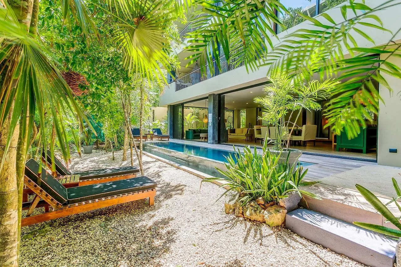 Private Plunge Pool, Art, Spa, Pool With Cabanas Tulum