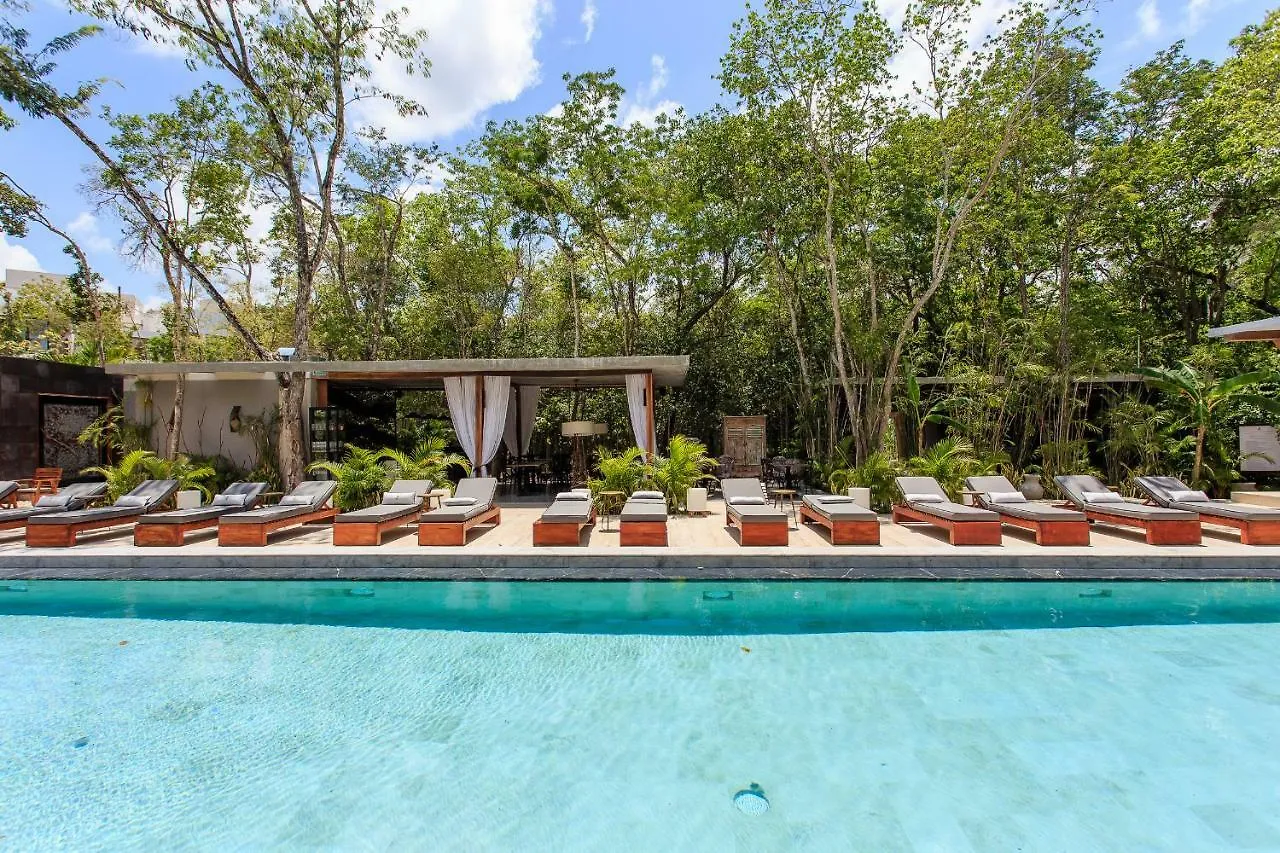 Private Plunge Pool, Art, Spa, Pool With Cabanas Tulum Apartment